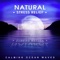 Pure Sounds for Sleep - Nature Meditation Academy lyrics