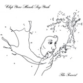 Clap Your Hands Say Yeah - Fireproof