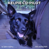 Kelpie Co-Pilot artwork