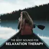 The Best Sounds for Relaxation Therapy – Healing Meditation, Mindfulness Exercises for Fight with Anxiety, Oasis of Blissful album lyrics, reviews, download