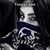 Tamally Maak (Instrumental) artwork