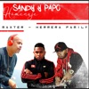 Sandy y papo (feat. Herrera Family) [Homenaje] - Single