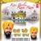 Mera Mann Laga Tohe - Bhai Satwinder Singh Ji & Bhai Harvinder Singh Ji lyrics