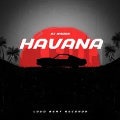Havana - Single by Dj Waqas album reviews, ratings, credits