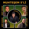 Muhteşem 5'li, 2017