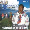 16 Corridos de la Sierra, Vol. 2 album lyrics, reviews, download