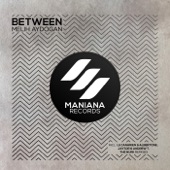 Between (Le Canarien & Albertone Remix) artwork