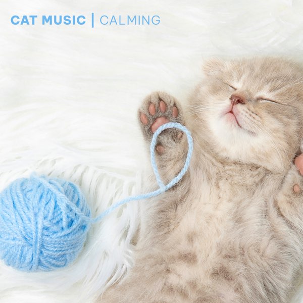 Песня Cat nap. Cat Song. Cat caring Club. Песня кошка mp3