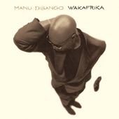 Wakafrika (Club Style Radio Edit) artwork