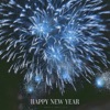 Happy New Year - Single