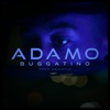 BUGGATINO - Adamo