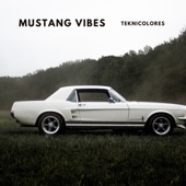 Mustang Vibes artwork