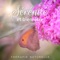 Ouvrir les chakras - Zone de la musique zen lyrics