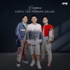 Cinta Tak Pernah Salah - Single