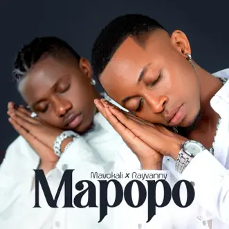 Mapopo by Mavokali & Rayvanny song reviws