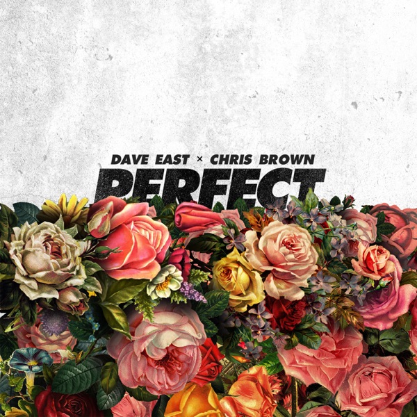 Perfect (feat. Chris Brown) - Single - Dave East