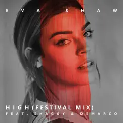 High (feat. Shaggy & Demarco) [Festival Mix] Song Lyrics