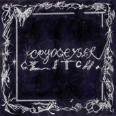 Cryogeyser - Leach