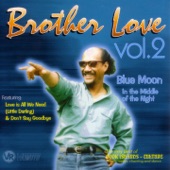Brother Love, Vol. 2 - Blue Moon In The Middle Of The Night artwork