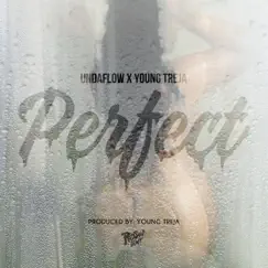 Perfect (feat. Young Treja) Song Lyrics