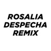 Fran Garro - Rosalia Despecha (Remix)