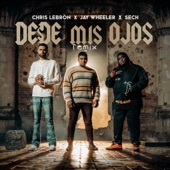 Desde Mis Ojos (Remix) artwork