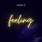 Feeling - Shady B lyrics