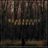 Blackroot Forest - Single