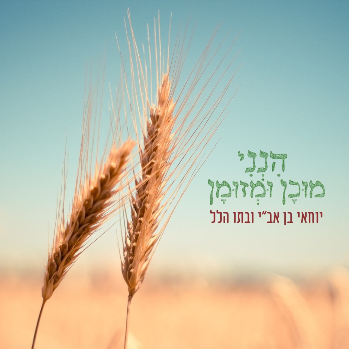 ‎הנני מוכן ומזומן - Single by Yochai Ben Avi on Apple Music