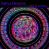 Sativa Dreams - Single