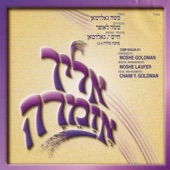 ואני אשיר artwork