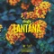 Lantana - Rooey lyrics