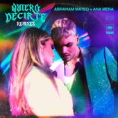 Quiero Decirte (Dance Remix) artwork