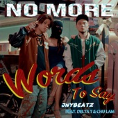 No More Words To Say (feat. Delta T & 朱琳) artwork