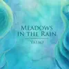 Meadows in the Rain (feat. Kosma Music & Bummela) - Single album lyrics, reviews, download