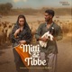 MITTI DE TIBBE cover art