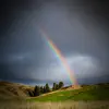 Feel Calm and Relieve Anxiety with After Rain Nature Sounds - Single album lyrics, reviews, download