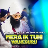 Mera Ik Tuhi Waheguru artwork