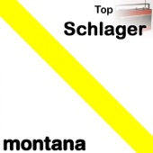 Top Schlager artwork