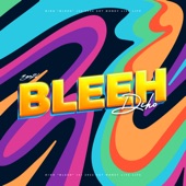 Bleeh artwork