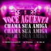 Stream & download Você Aguenta, Chama Sua Amiga (feat. Mc Nem Jm & MC Pipokinha) - Single