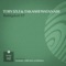Kamigakari (Takashi Watanabe Remix) - Takashi Watanabe & Toby Izui lyrics