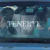 Stream & download Tenerte (feat. Guilleavc) - Single