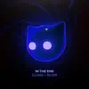 In the End - Slowed + Reverb - Single album lyrics, reviews, download