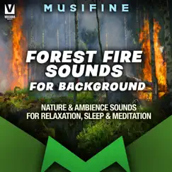 Forest Fire Sounds for Background (Nature & Ambience Sounds for Relaxation, Sleep & Meditation) - Single by MUSIFINE album reviews, ratings, credits