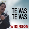 Te Vas Te Vas - Single