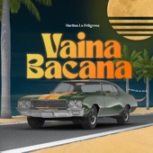 Vaina Bacana artwork