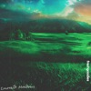 Emerald Meadows - Single