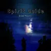 Spirit Guide - Single album lyrics, reviews, download