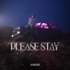 Please Stay - Single